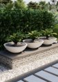 garden product img - 11